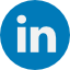 linkedinIcon